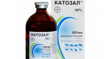 Top 6 růstových stimulantů pro skot, jaké hormony a anabolické steroidy by měly být podávány