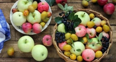 Top 7 receptů na výrobu jablečných a švestkových povidel na zimu