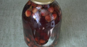 Top 7 receptů na přípravu trnového kompotu se semínky na zimu