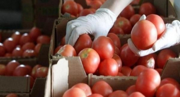 Top 8 receptů na výrobu rajčatové omáčky s jablky na zimu