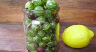 Top 9 receptů na výrobu angreštového mojito kompotu na zimu