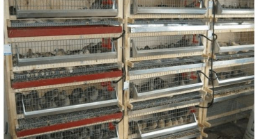 Požadavky na krahujec, výkresy a rozměry a jak to udělat sami