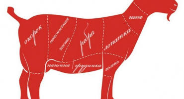 Porážení koz a porážení jatečně upravených těl