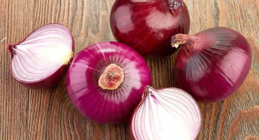 Péče a pěstování fialové a červené cibule, výhody a škody, kdy sklízet a jak skladovat