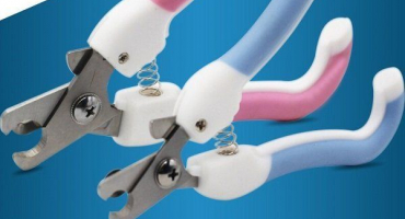 Péče o králičí drápky a jejich stříhání