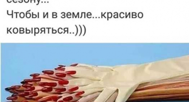 Péče o okurku: bezpečnostní opatření a krmení