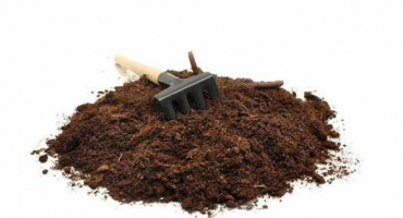 Upravenou půdu pro sazenice si připravujeme sami