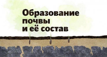 Podmínky a proces tvorby půdy, jaké faktory ovlivňují jak schéma, tak fáze
