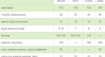 Podmínky pro pěstování krůt doma pro začátečníky