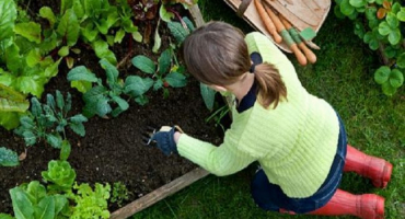 Kutilské zařízení a postupná výroba teplých postelí