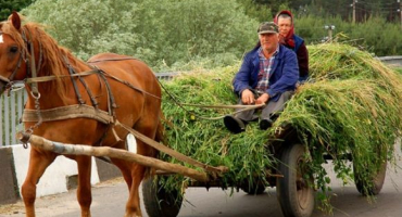 Zařízení pro koňský vozík