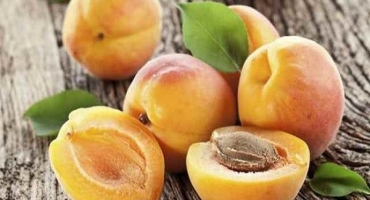 Jaké jsou příznivé vlastnosti a poškození meruněk pro zdraví a jak je správně používat