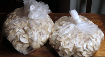 Možnosti skladování čerstvých, sušených a tepelně zpracovaných hub