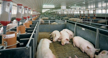 Udělej si sám ventilační systém v chlívku: pokyny krok za krokem