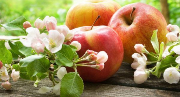 Hmotnost jablek - ukazatele pro různé velikosti a odrůdy