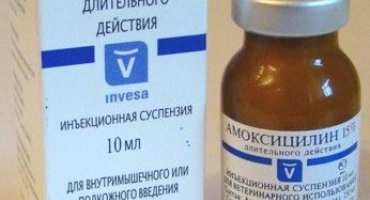 Veterinární lék amoxicilin: přehled a aplikace