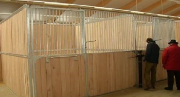 Typy koňských stájí a jejich uspořádání