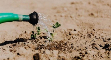 Druhy a hlavní fáze samočištění půdy, co to je a jak procesy probíhají