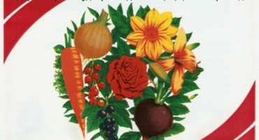 Druhy a složení hnojiv kemir, návod k použití a dávkování