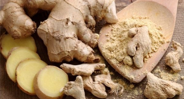 Druhy a pěstování zázvoru, kde roste a jak vypadá v přírodě