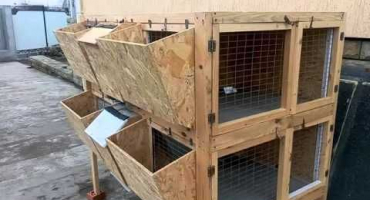 Typy minifarem pro králíky, kresby a jak si to vyrobit sami