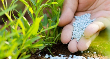 Druhy npk hnojiv a co to je, návod a pravidla použití