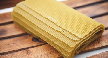 Základy ve včelařství: výroba produktů, pravidla použití a skladování