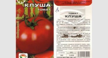 Vše o rajčatech crouch: hlavní charakteristiky a tajemství pěstování