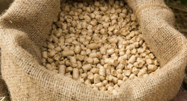 Zavedení krmných směsí pro skot