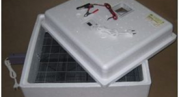 Výběr inkubátoru pro vejce: jaké parametry věnovat pozornost?