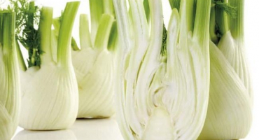 Pěstování ze semen a péče o fenykl na otevřeném poli, jak ušetřit na zimu a odrůdy