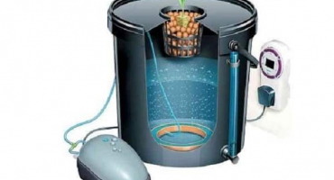 Pěstování rajčat v hydroponii, výběr řešení a nejlepších odrůd